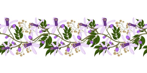 Seamless floral border with Chinaberry flower Seamless floral border with Chinaberry flower. Floral design elements. Beautiful for any plain and chic elegance designs. Vector illustration chinaberry stock illustrations