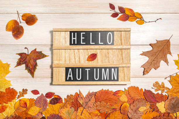 istock Wooden message board with the text phrase Hello Autumn and dry fallen leaves on a white background. Autumn season, positive mood, harvest time, leaffall, fall concept. Top view. 1401577264