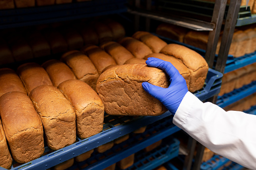 Industrial bakery with fresh bread on racks. A loaf of fresh bread in the hands of a baker. A loaf of fresh bread in women's hand. She puts the bread on the shelf