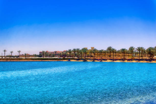 istock Aerial view over beach in Hurghada. 1401578592