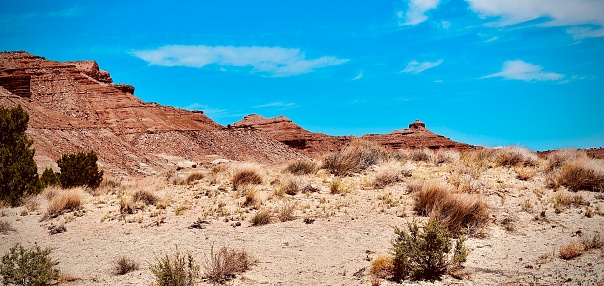 The raw natural beauty of the Arizona desert