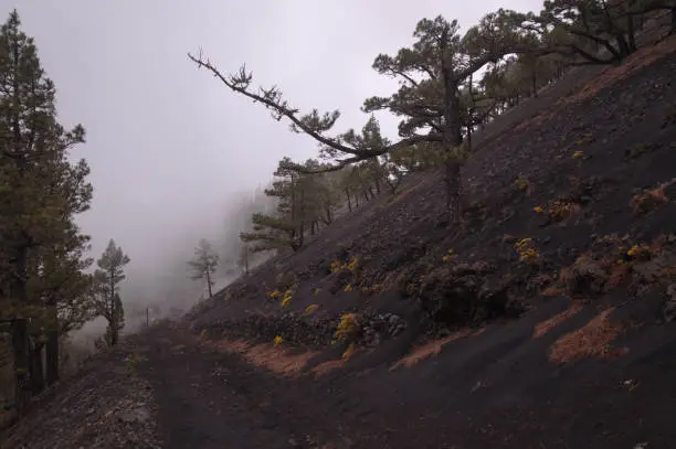 Photo of La Palma, landscapes along the long-range popular hiking route Ruta de Los Volcanes