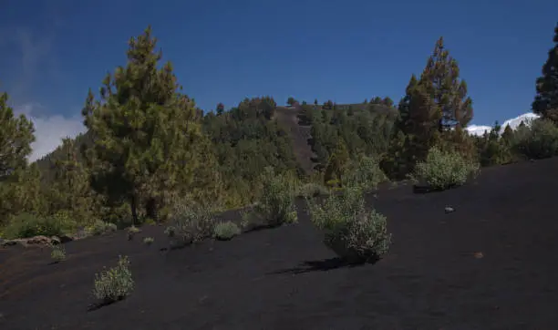 Photo of La Palma, landscapes along the long-range popular hiking route Ruta de Los Volcanes