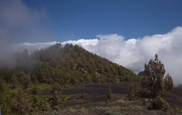 Photo of La Palma, landscapes along the long-range popular hiking route Ruta de Los Volcanes