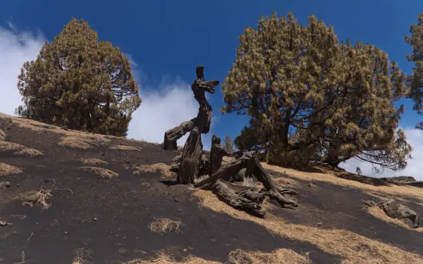 Photo of La Palma, long-range popular hiking route Route of the Volcanoes