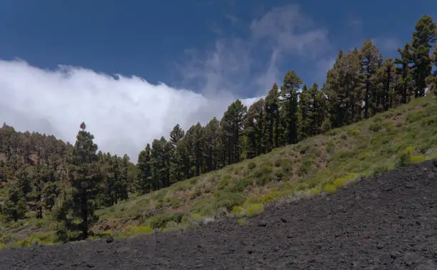 Photo of La Palma, long-range popular hiking route Route of the Volcanoes,