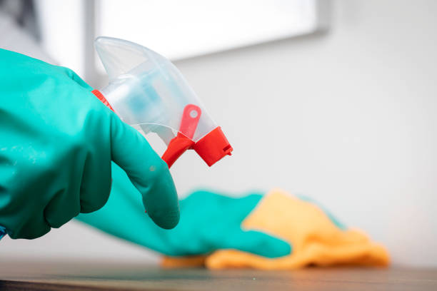 istock Woman Cleaning Home 1401588274