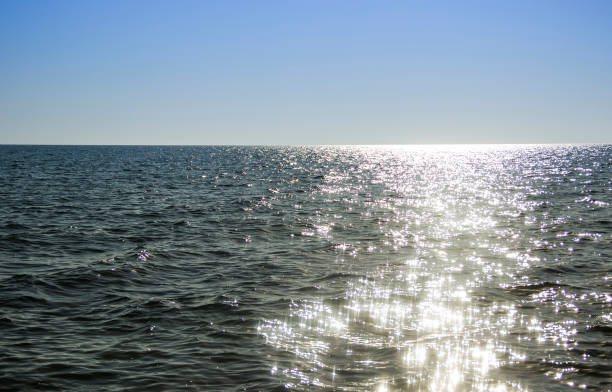 istock a sunlight on sea surface at bright day, Azov sea, Ukraine 1401588887