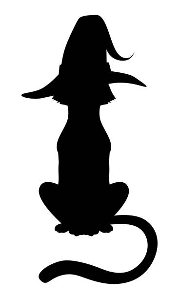 halloweenowa sylwetka kota w kapeluszu - silhouette animal black domestic cat stock illustrations