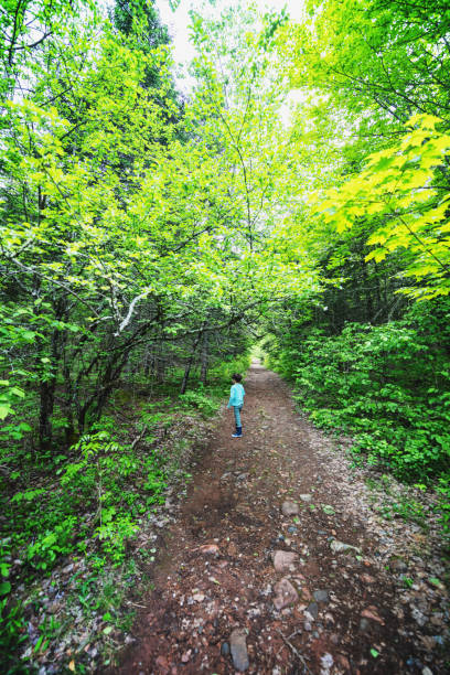 istock Boy Hiking in Park 1401592548