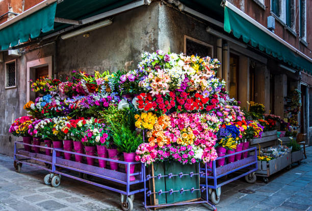 flowers at a florist - austria - photo