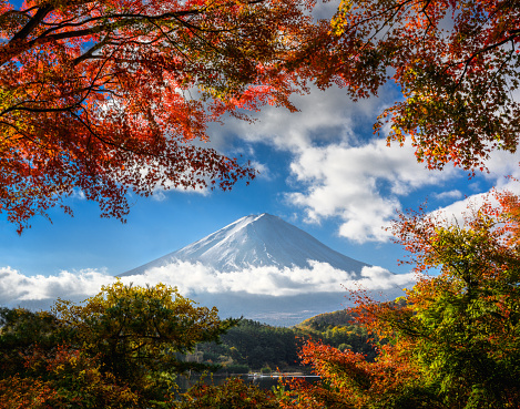Photo of Mt.Fuji from Kawaguchi Lake with cloud and colorful leaves in the fall season.