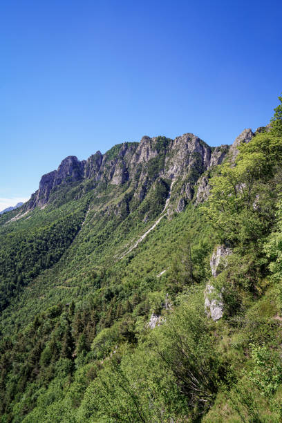 istock Mountains in the Trentino 1401594026