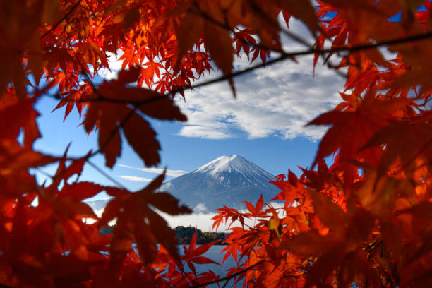 istock Mt Fuji with Autumn red leaves 1401594389