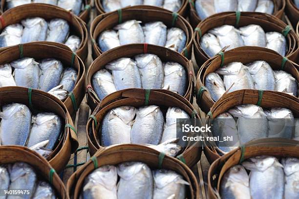 Meeresfrüchte Golf Von Thailand Stockfoto und mehr Bilder von Bildhintergrund - Bildhintergrund, Biodiversität, Block - Form