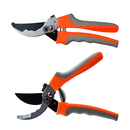 garden metal pruner with plastic orange handles, insulated on a white background