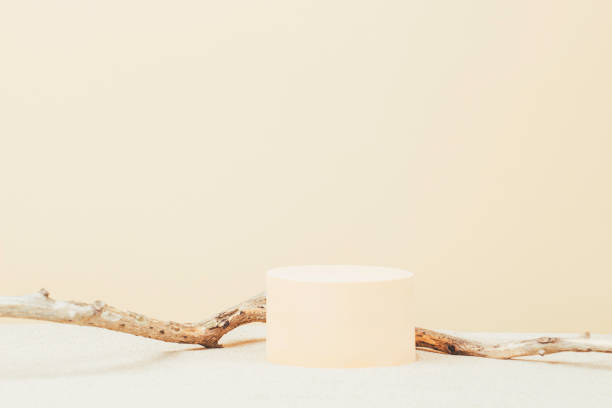istock Empty round beige platform podium and dry tree twigs on white beach sand background. Minimal creative composition background for cosmetics or products presentation. Front view 1401597630