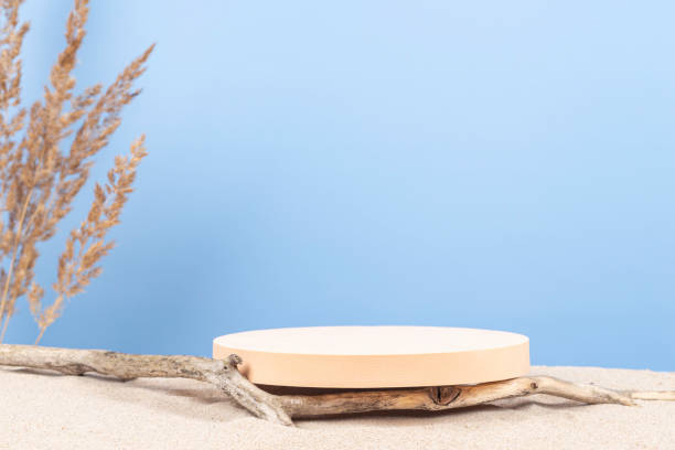 Round beige platform podium, dry tree twigs on white beach sand with dry bent plant in foreground. Minimal creative composition background for cosmetics or products presentation. Front view