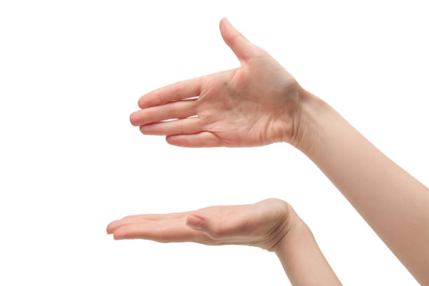 istock Woman hand isolated on a white background. 1401599511