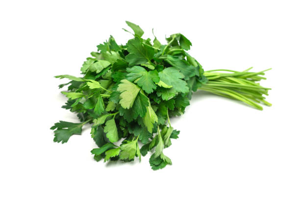 istock A bunch of parsley isolated on white background. 1401599533