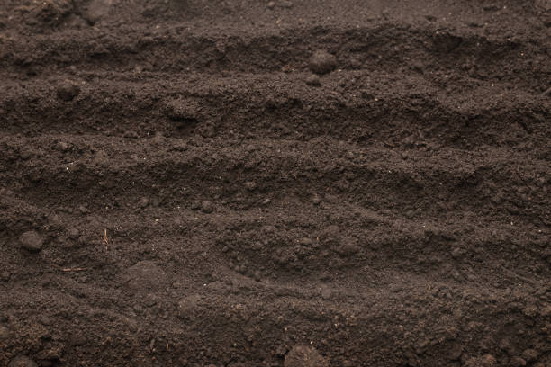istock Black land for plant background. Top view. 1401599565