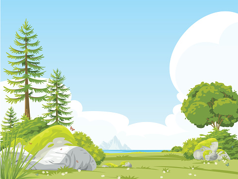 Vector Blank meadow landscape scene with many trees