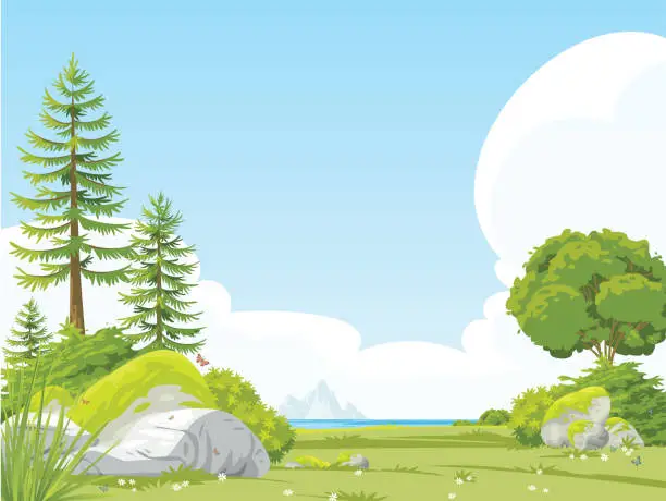 Vector illustration of Blank meadow landscape scene with many trees