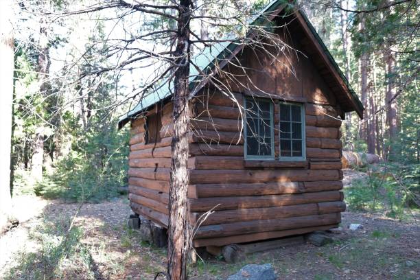 istock Little log cabin in the woods 1401601588