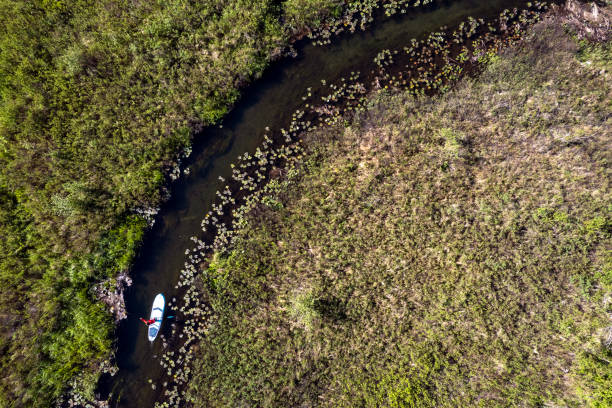 istock Aerial view of a female paddle boarding 1401604146