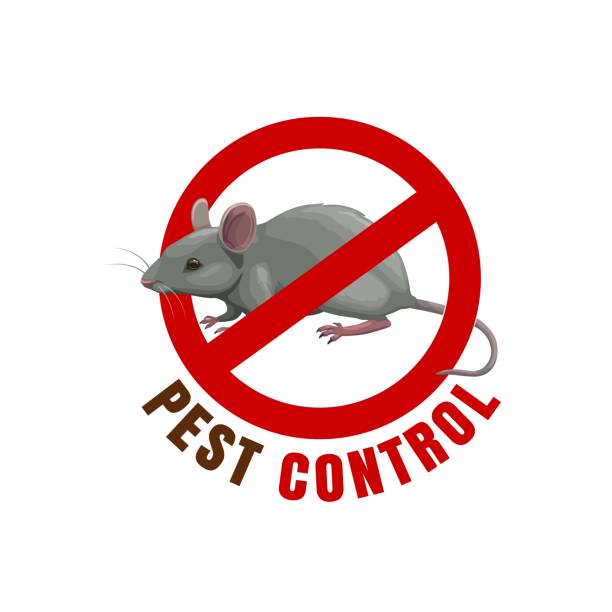 106,700+ Stop Rats Stock Illustrations, Royalty-Free Vector Graphics ...