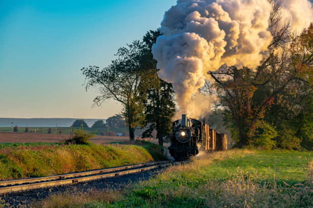 istock View of an Antique Freight Steam Train Blowing Smoke Approaching Thru Trees 1401605276