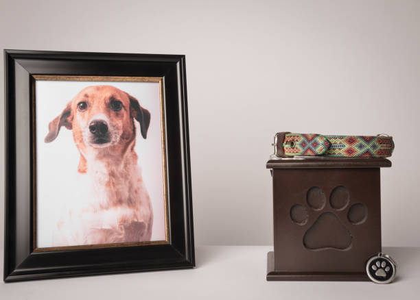 子犬のプリントが入った骨壷、その上にカラフルなひも、その隣には子犬の写真があります。白い背景 ストックフォト