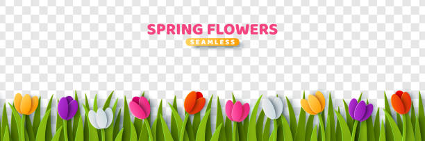 wiele wyciętych z papieru tulipanów izolowanych - bouquet mothers day tulip flower stock illustrations