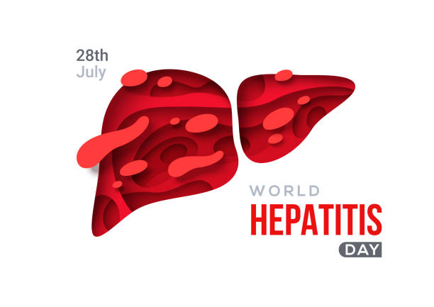 Paper cut liver icon hepatitis day World hepatitis day poster, paper cut 3d red liver icon. Vector illustration. Hepatic desease, cancer and cirrhosis abstract concept graphic. hepatitis stock illustrations