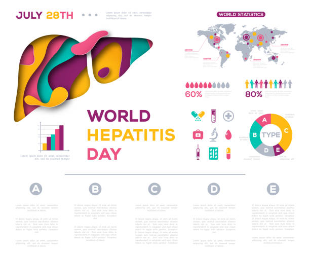 World hepatitis day infographics World hepatitis day infographic template. Vector illustration. Liver health poster with map, flat medical icons set, diagrams, charts, graphs. Viral hepatic type hepatitis stock illustrations