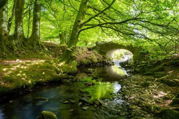The Weir Water river flowing under Robbers Bridge in Exmoor National Park