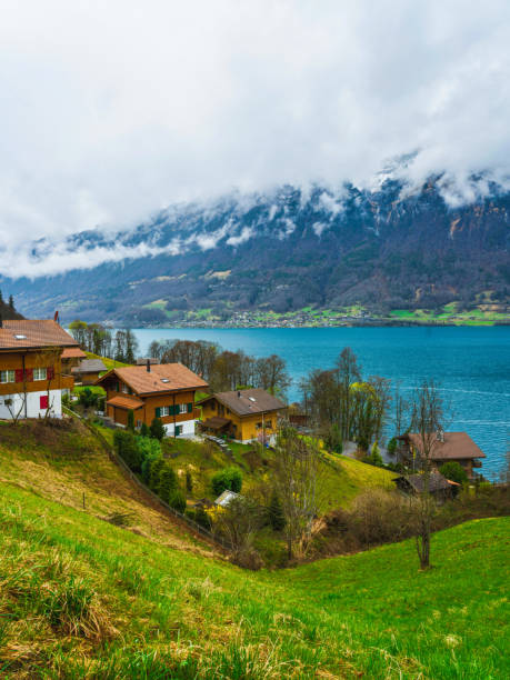 tradycyjne szwajcarskie domy na zboczu wzgórza nad jeziorem brienz w iseltwald w szwajcarii - interlaken mountain meadow switzerland zdjęcia i obrazy z banku zdjęć