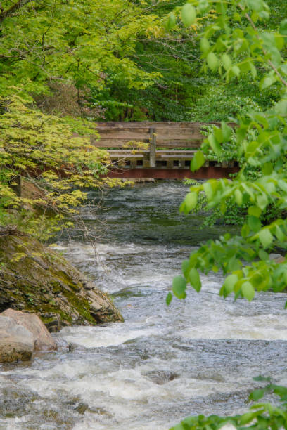 istock In summer, beautiful little river 1401611357