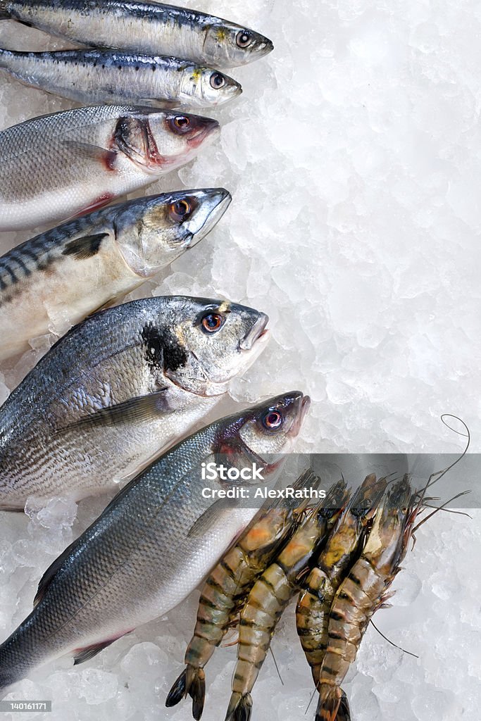 Pescados y mariscos en el hielo - Foto de stock de Alimento libre de derechos