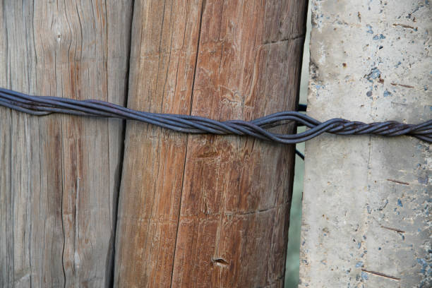 Old wood background. Natural wooden texture.