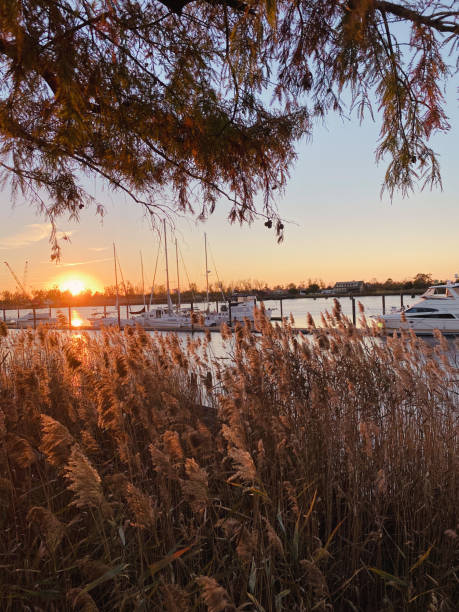 coucher de soleil sur le cape fear - cape fear photos et images de collection