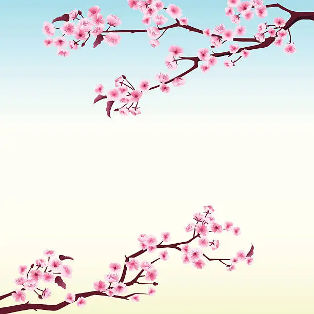 Vector illustration of Cherry Blossom Frame