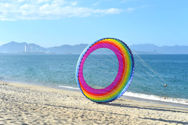 istock Rainbow kite on sandy beach in Vietnam 1401625729