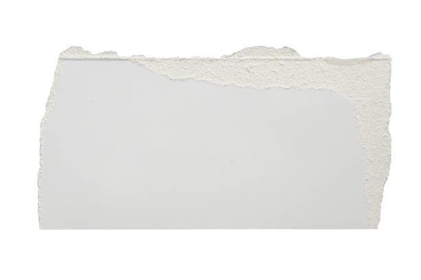 istock White ripped paper torn edges strips isolated on white background 1401630200