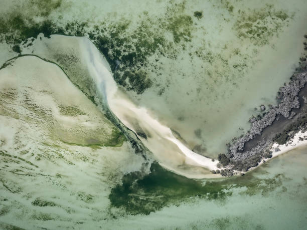 Aerial view of water and sand patterns