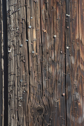 Wooden telephone pole closeup with nails and staples left in wood from removed posters and notices