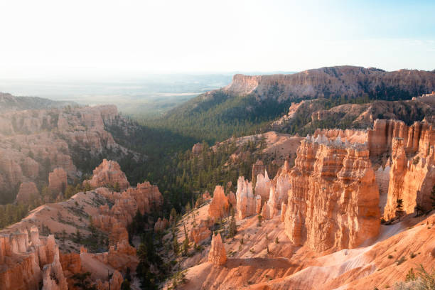 Hoodoo Valley Hoodoos rise above valley in Bryce Canyon National Park sunrise point stock pictures, royalty-free photos & images