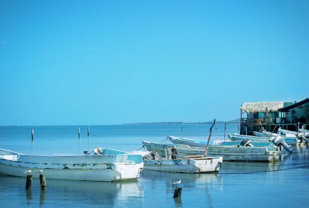 istock Water bird, pier, boat, ocean 1401653412