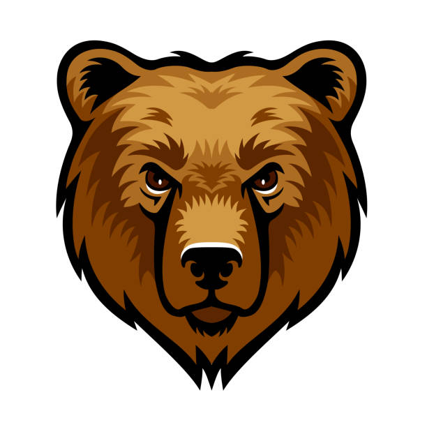 ilustraciones, imágenes clip art, dibujos animados e iconos de stock de logotipo de la cabeza del oso pardo. diseño creativo de mascotas. - university education screaming shouting