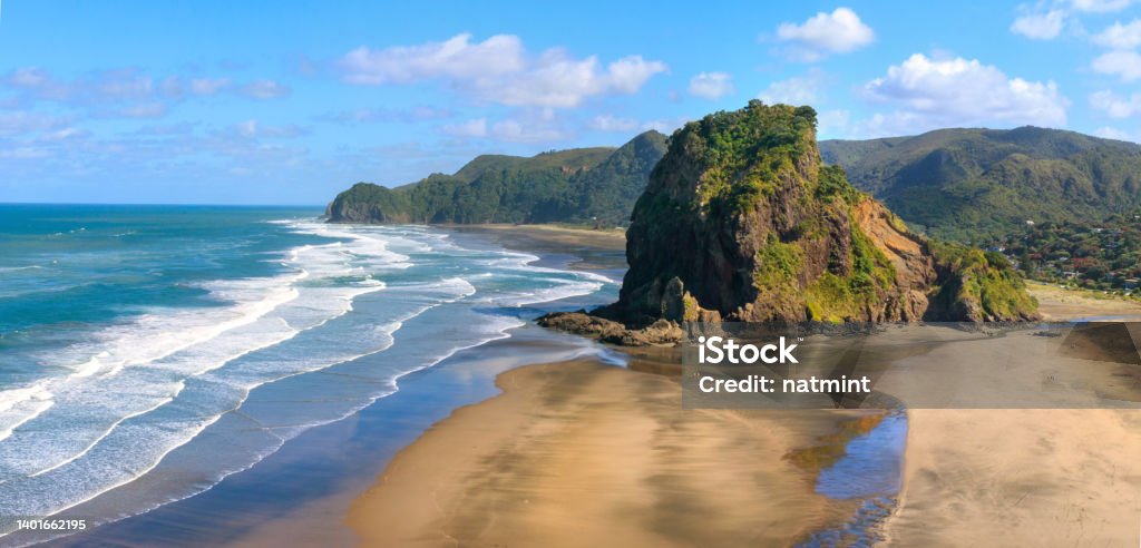 Piha Beach and Lion Rock in the morning sun, New Zealand Piha Beach Stock Photo